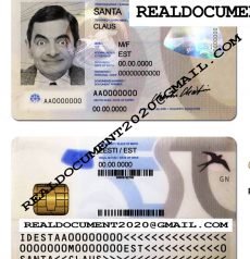 Fake Estonian ID v1