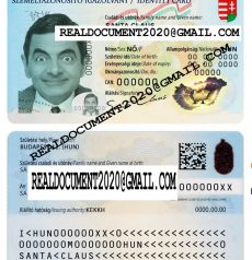 Fake Hungarian ID