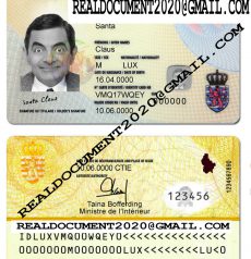 fake Luxembourg identity card
