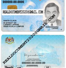 Fake Malaysian Identity Card