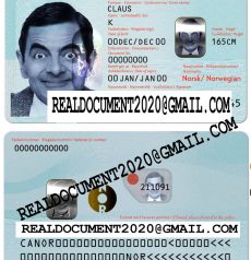 Fake Norwegian id card