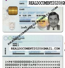 Fake Portugal ID Card
