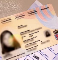 buy fake Luxemburg ID Card