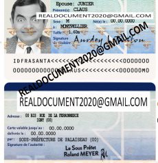 fake french identity card